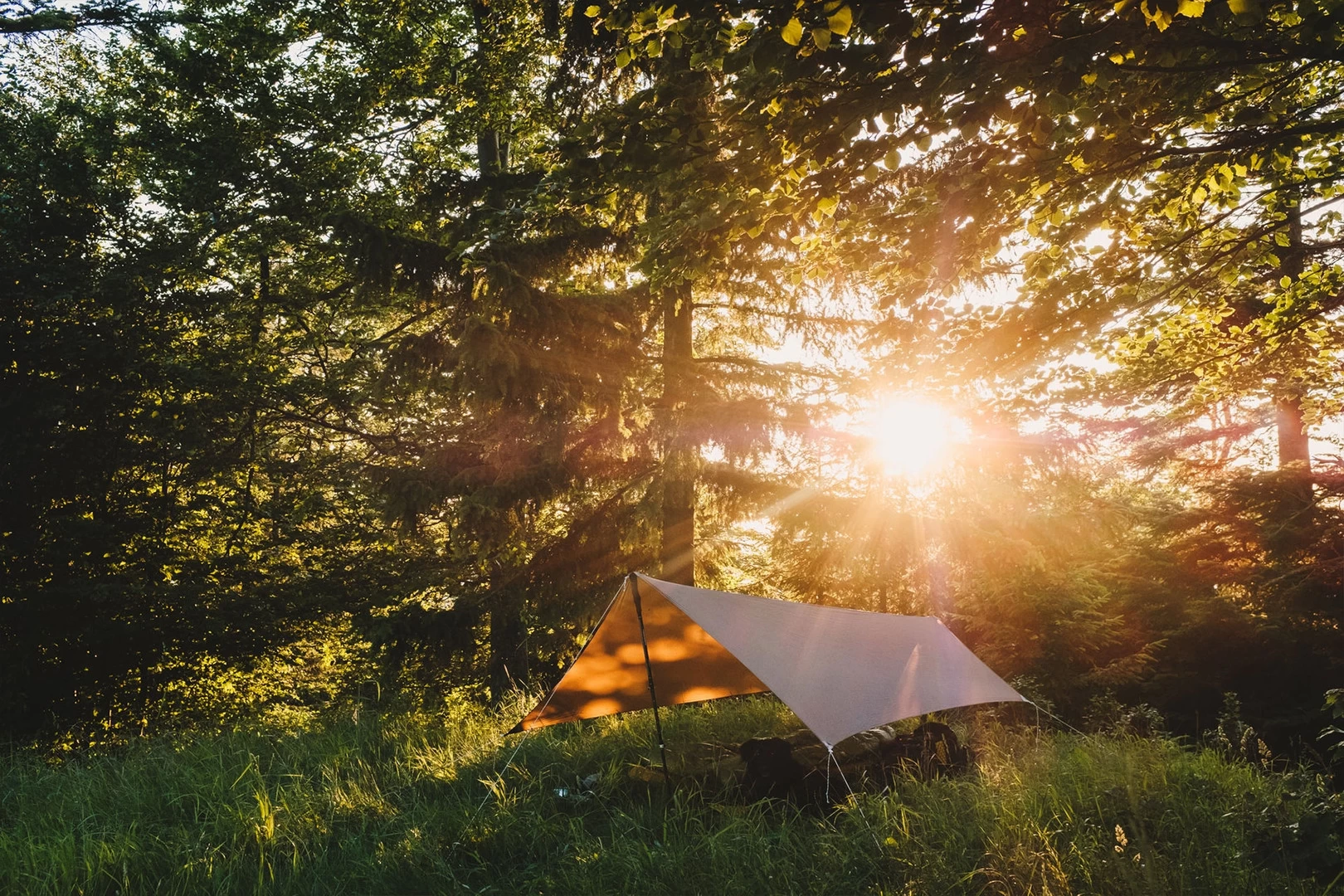 Lesovik Zmora Lesovik Zmora -Survie en plein air tarp lesovik zmora vert 07