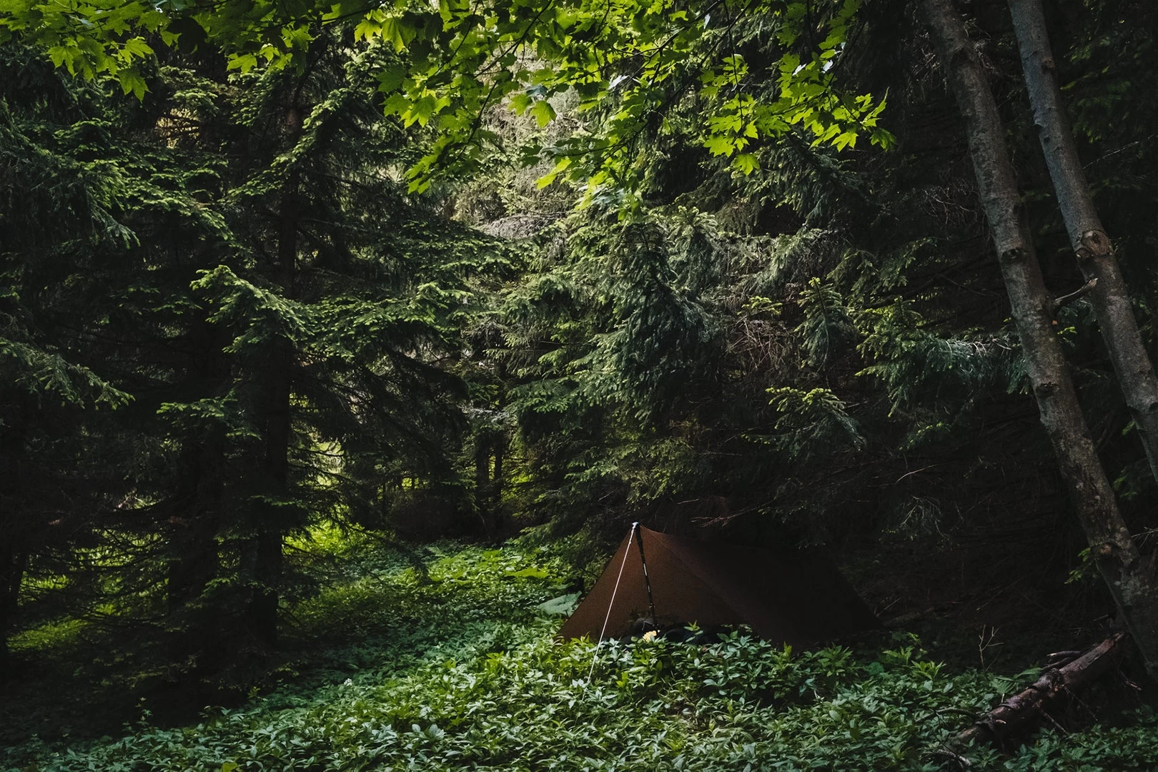 Lesovik Zmora Lesovik Zmora -Survie en plein air tarp lesovik zmora vert 08